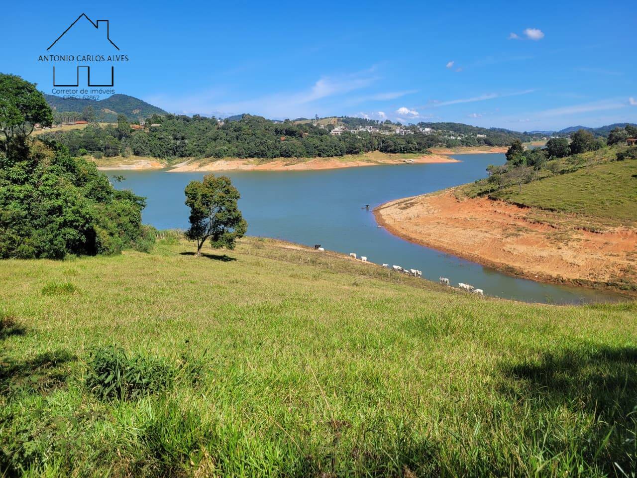 Terreno, 2 hectares - Foto 2