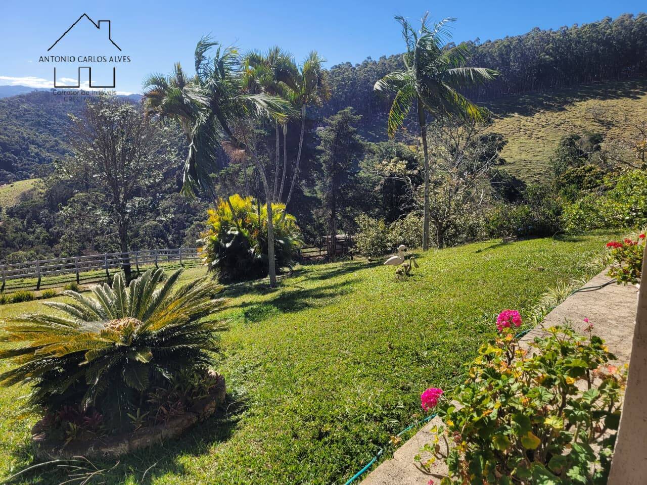 Sítio, 3 quartos, 37 hectares - Foto 3