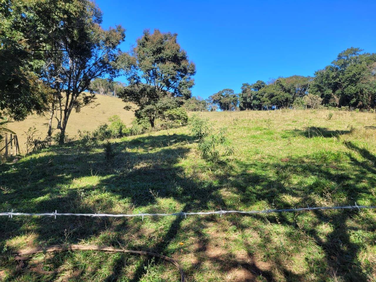 Sítio, 3 quartos, 37 hectares - Foto 45