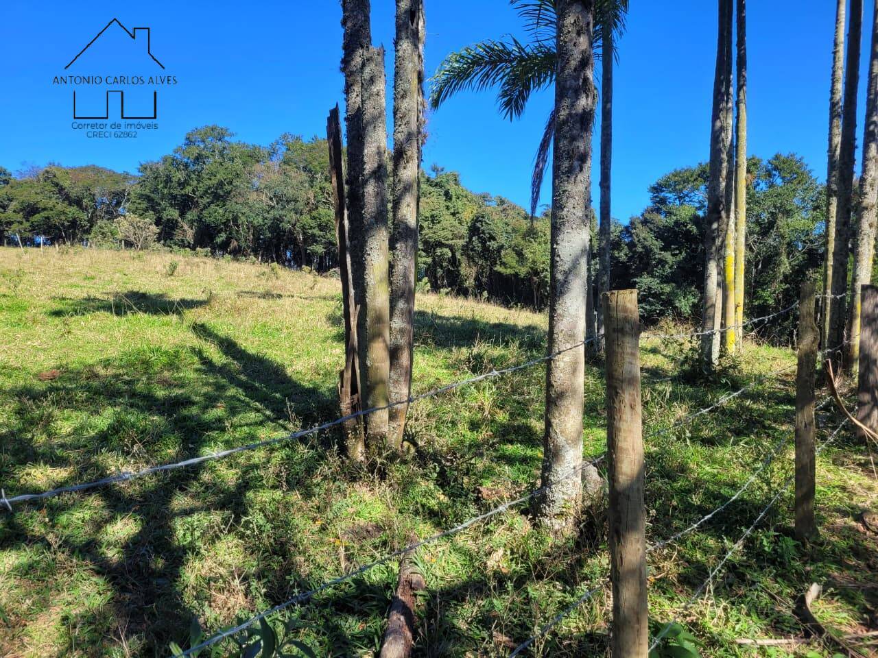 Sítio, 3 quartos, 37 hectares - Foto 46