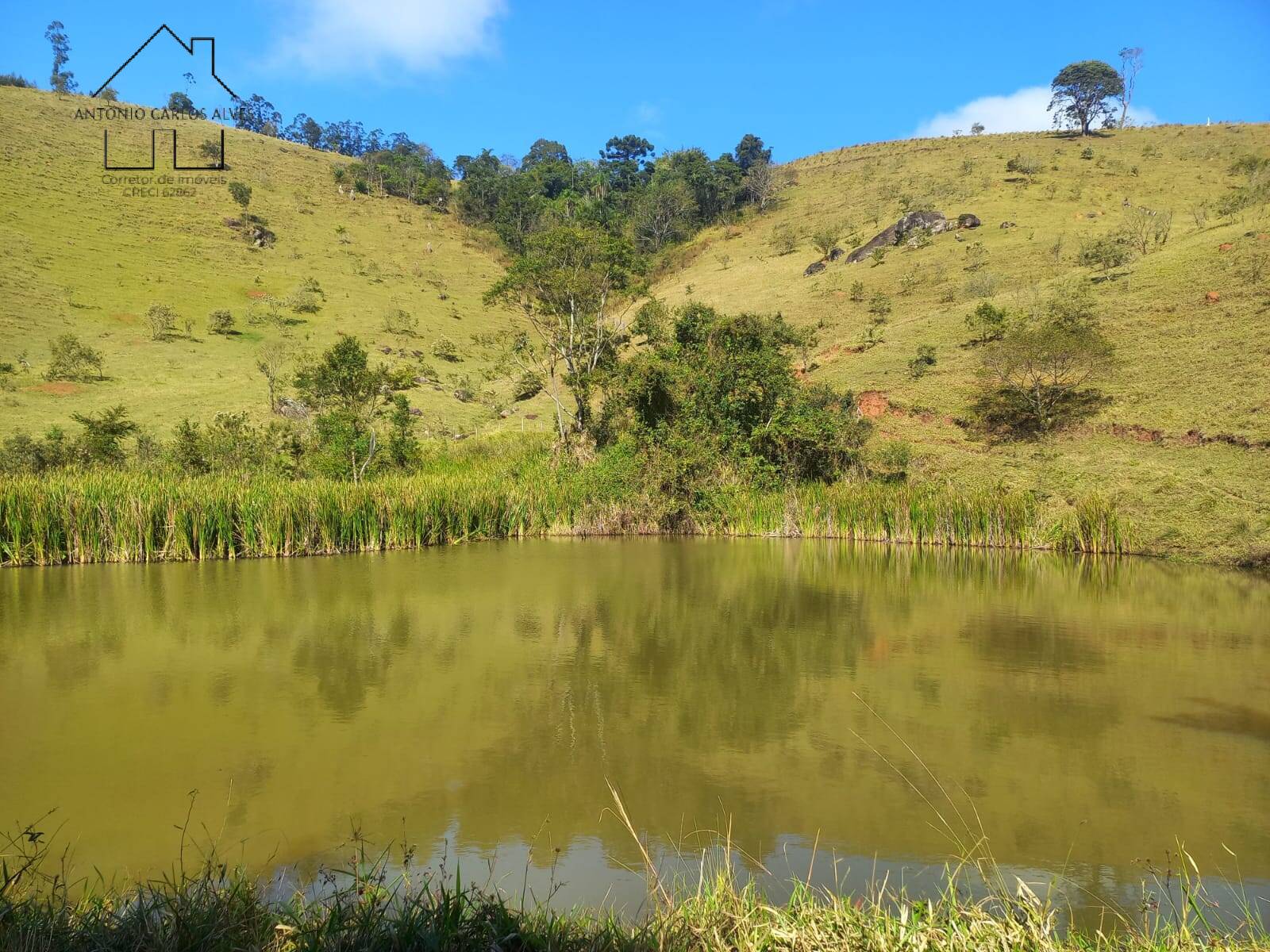 Sítio, 3 quartos, 37 hectares - Foto 40
