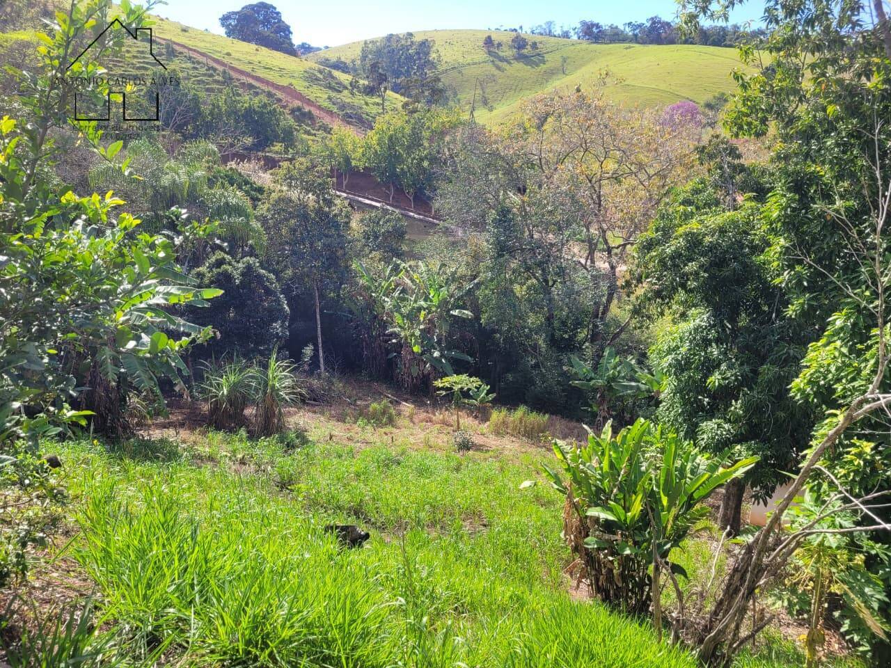 Sítio, 3 quartos, 6 hectares - Foto 83