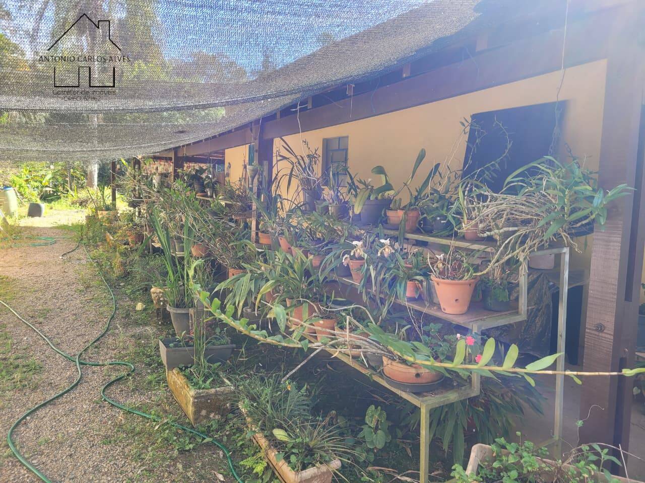Sítio, 3 quartos, 6 hectares - Foto 19