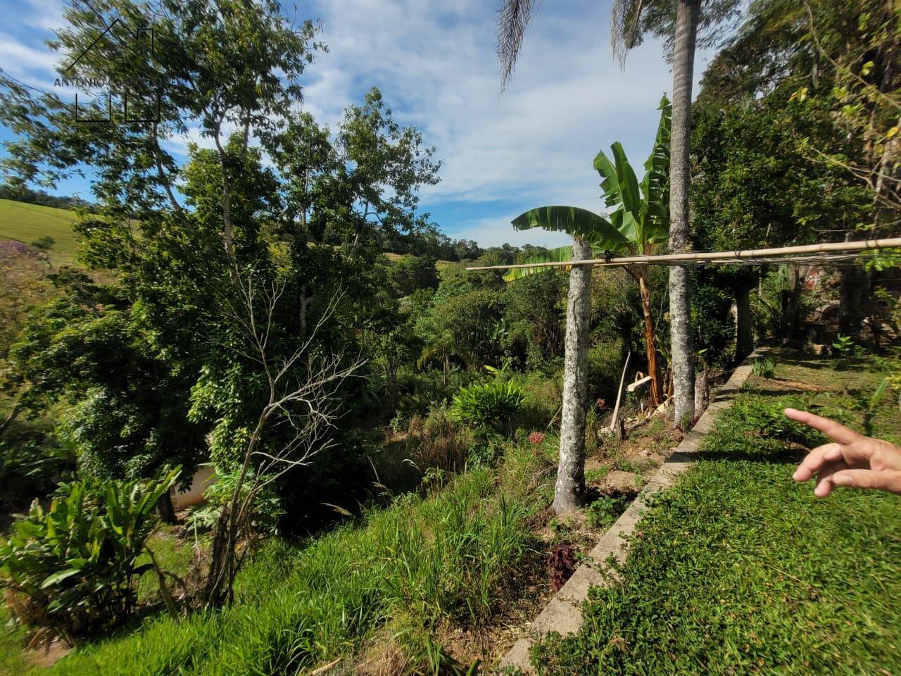 Sítio, 3 quartos, 6 hectares - Foto 85