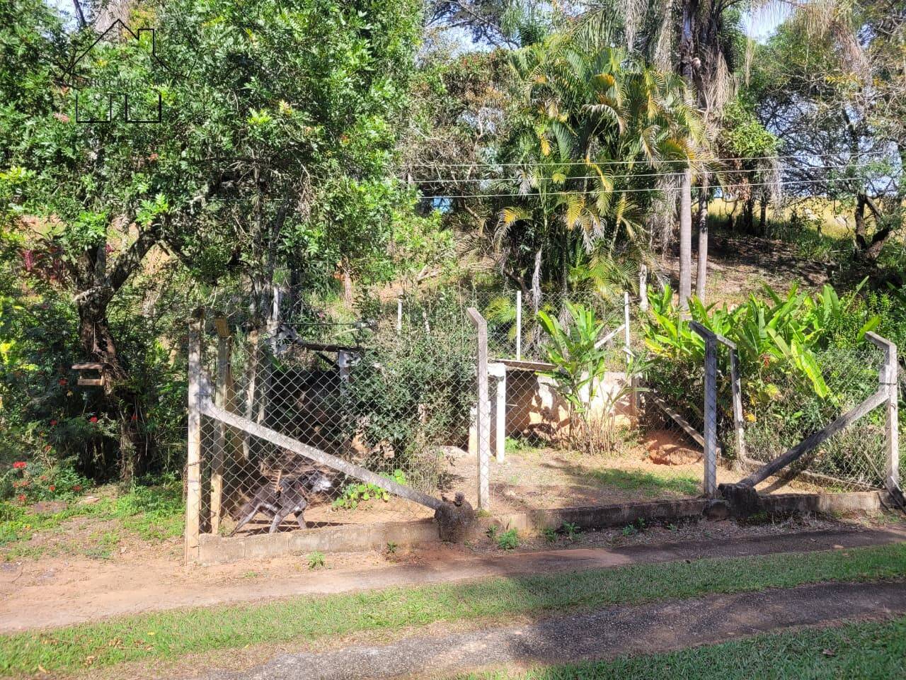 Sítio, 3 quartos, 6 hectares - Foto 81
